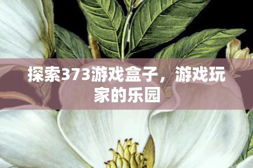 探索373游戏盒子图片