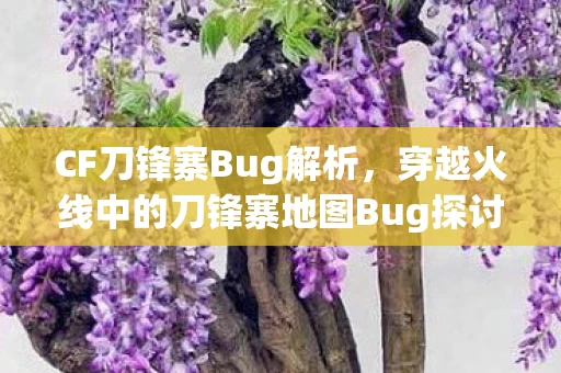 穿越火线中的刀锋寨地图Bug探讨图片