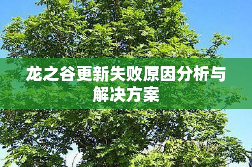 龙之谷更新失败原因分析与解决方案图片