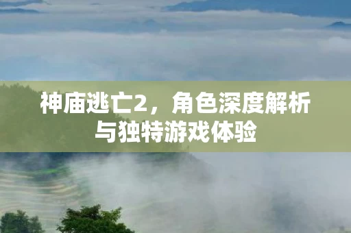 角色深度解析与独特游戏体验图片