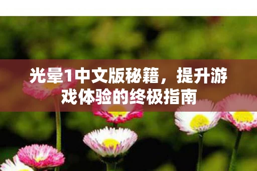 提升游戏体验的终极指南图片