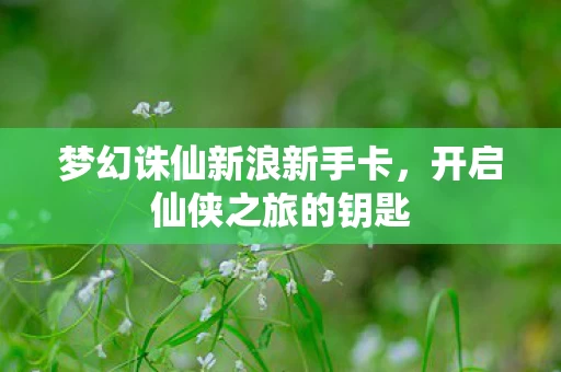 梦幻诛仙新浪新手卡图片