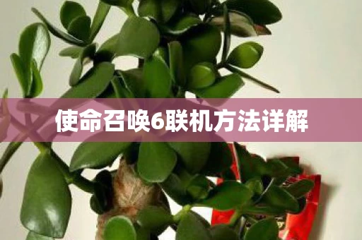 使命召唤6联机方法详解图片