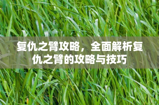 全面解析复仇之臂的攻略与技巧图片