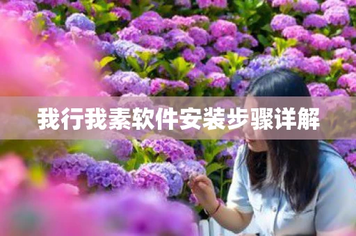 我行我素软件安装步骤详解图片