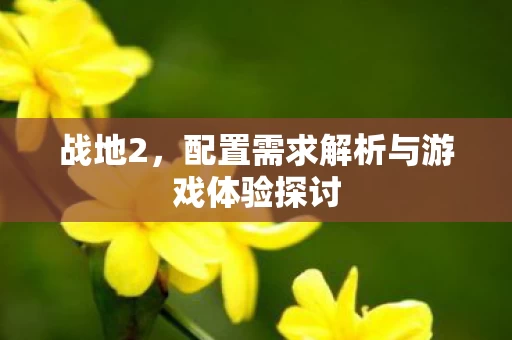 配置需求解析与游戏体验探讨图片