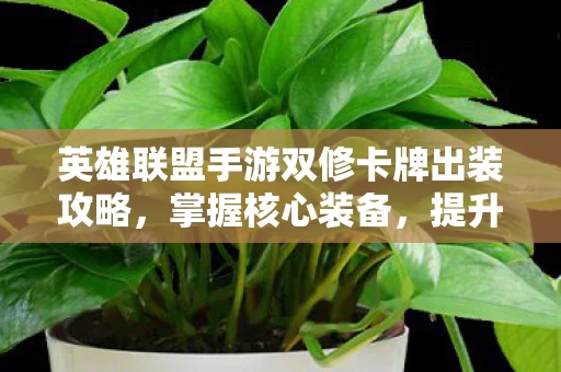 英雄联盟手游双修卡牌出装攻略图片