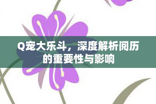 深度解析阅历的重要性与影响图片