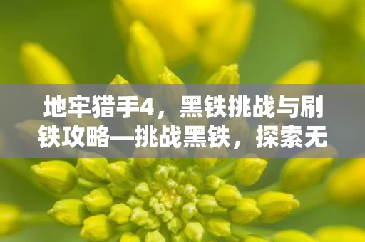 黑铁挑战与刷铁攻略图片