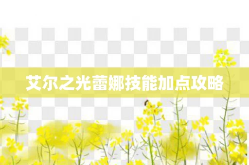 艾尔之光蕾娜技能加点攻略图片