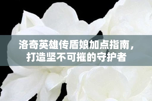 洛奇英雄传盾娘加点指南图片