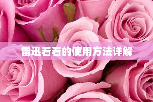 雷迅看看的使用方法详解图片