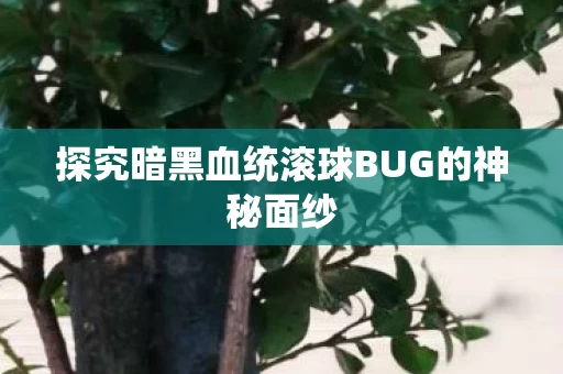 探究暗黑血统滚球BUG的神秘面纱图片