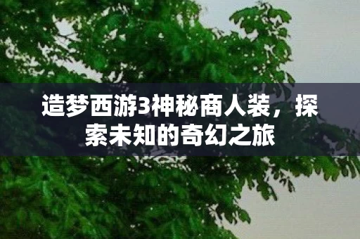 造梦西游3神秘商人装图片