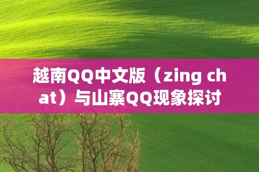 zing chat图片