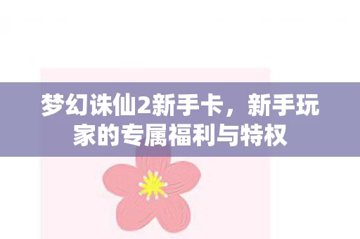 新手玩家的专属福利与特权图片