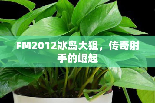 FM2012冰岛大狙图片