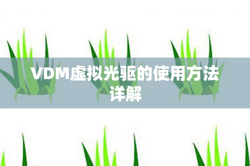 VDM虚拟光驱的使用方法详解图片