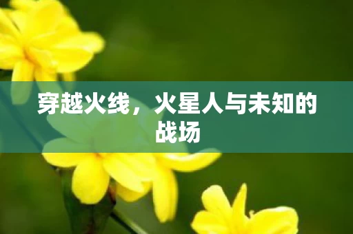 火星人与未知的战场图片