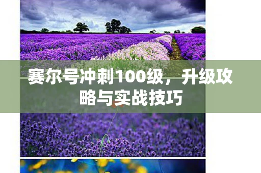 赛尔号冲刺100级图片