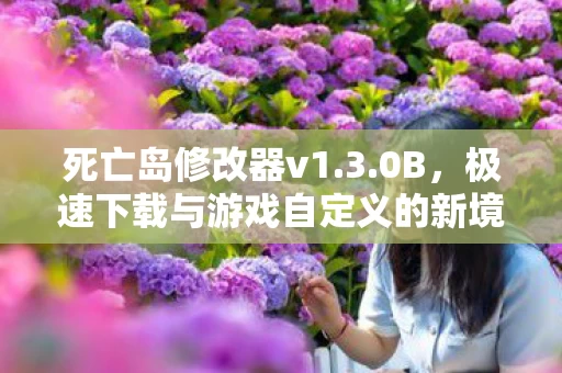 极速下载与游戏自定义的新境界图片