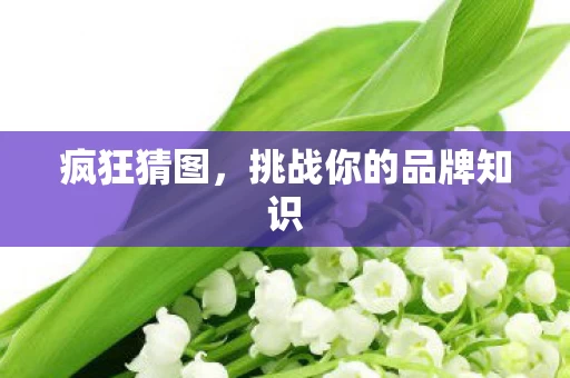 挑战你的品牌知识图片