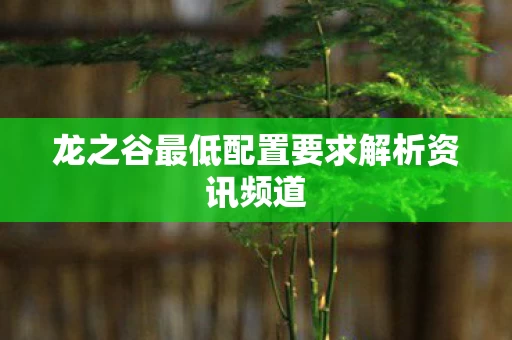 龙之谷最低配置要求解析资讯频道图片