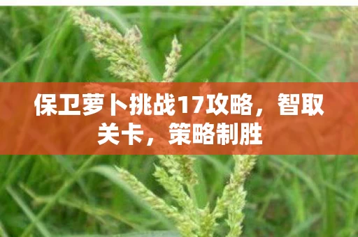 保卫萝卜挑战17攻略图片