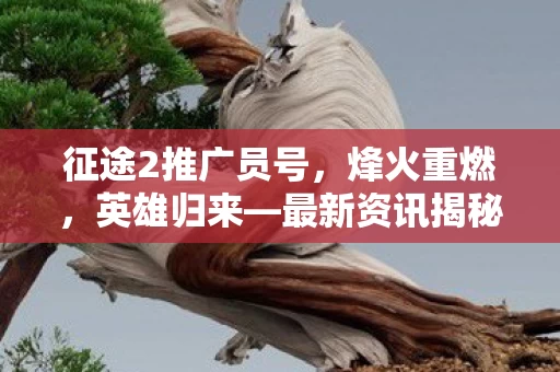 征途2推广员号图片