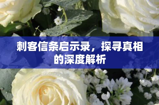 探寻真相的深度解析图片