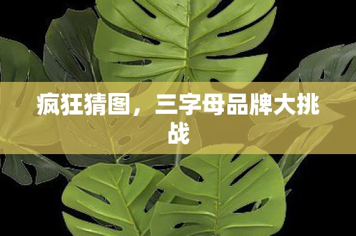 三字母品牌大挑战图片