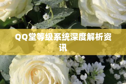 QQ堂等级系统深度解析资讯图片