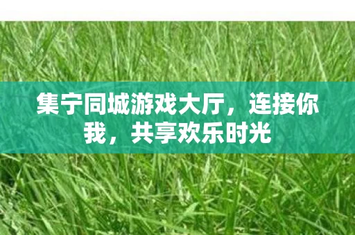 集宁同城游戏大厅图片