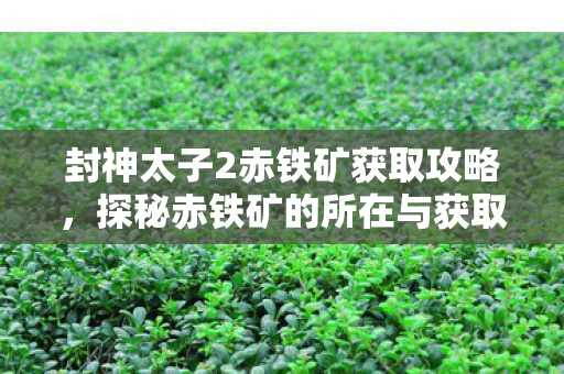 探秘赤铁矿的所在与获取方法图片