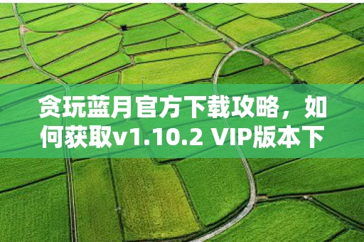 2 VIP版本下载链接图片