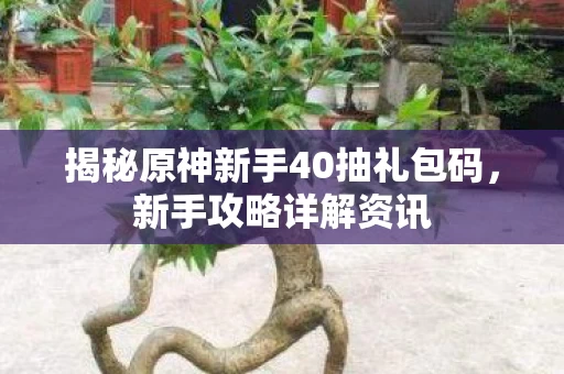 揭秘原神新手40抽礼包码图片