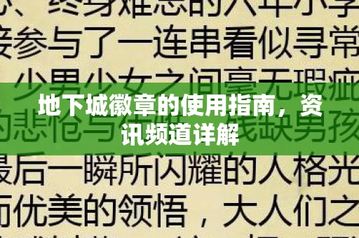 地下城徽章的使用指南图片