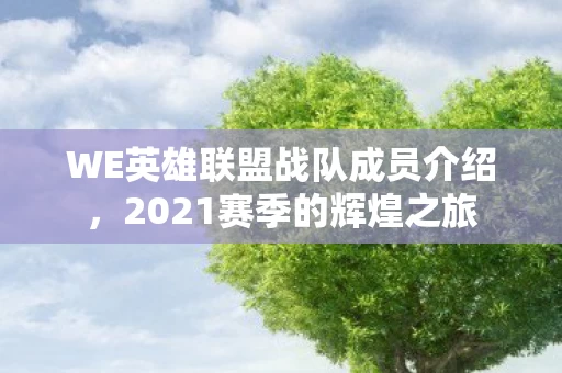 WE英雄联盟战队成员介绍图片