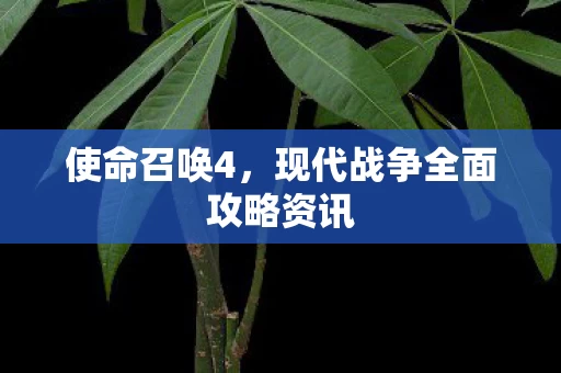 现代战争全面攻略资讯图片