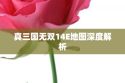 真三国无双14E地图深度解析图片