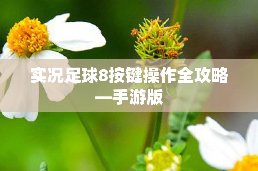 实况足球8按键操作全攻略图片