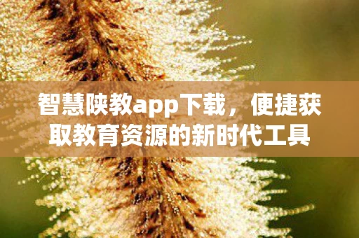 便捷获取教育资源的新时代工具图片