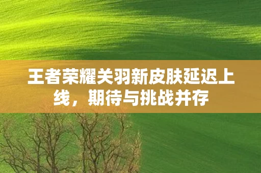 王者荣耀关羽新皮肤延迟上线图片