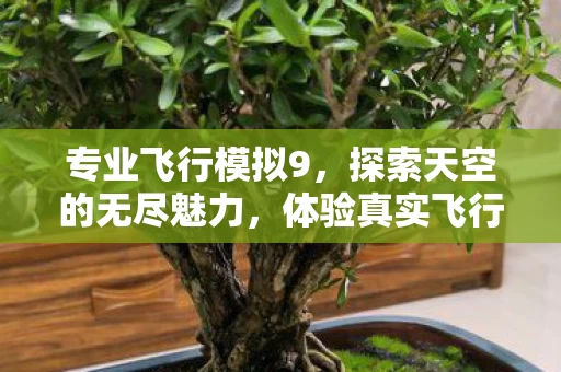 体验真实飞行的极致乐趣图片
