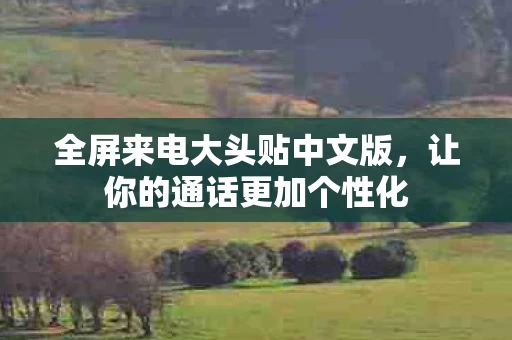 全屏来电大头贴中文版图片