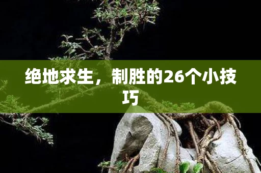 制胜的26个小技巧图片