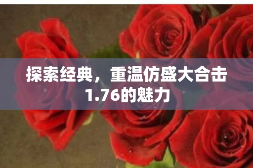 重温仿盛大合击1图片