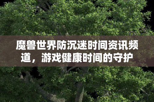 魔兽世界防沉迷时间资讯频道图片