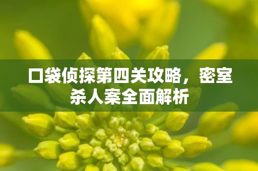 口袋侦探第四关攻略图片