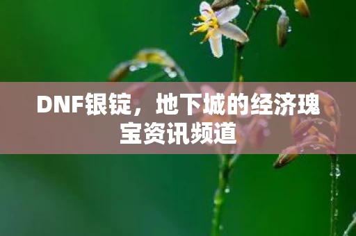 地下城的经济瑰宝资讯频道图片